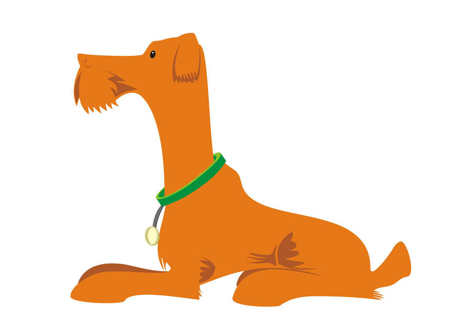 bilde hund - A¥A ligge